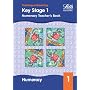 Key Stage 1: Numeracy (Key Stage 1 Numeracy Textbooks)