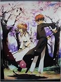 Tsubasa: Sakura and Syaoran 60x90cmWallscroll