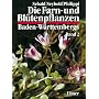 Die Farn- und Bl�tenpflanzen Baden-W�rttembergs, 8 Bde., Bd.2, Spezieller Teil (Spermatophyta, Unterklasse Dilleniidae)