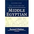 Concise Dictionary of Middle Egyptian