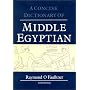 Concise Dictionary of Middle Egyptian