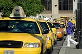 51Q7XJL jAL. SL160  Taxi Cab Service Start Up Sample Business Plan NEW!