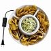 Kitchen & Housewares : Kitchen Selectives ECD-88 Electric Heated Chip and Dip Tray, white