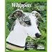 Whippets and WaWas, Wonderful Dogs