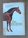 The horse today - & tomorrow?