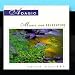 Adagio: Music For Relaxation