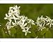 Photographic Prints of June berry from Ardea Wildlife Pets