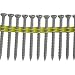 Quik Drive WSNTLQ212S Deck and Dock 2 1/2-Inch Screws with Quik Guard Corrosion Protection