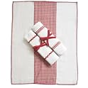 Tadpoles Basics Red Gingham Burping Cloths - 3-pk.