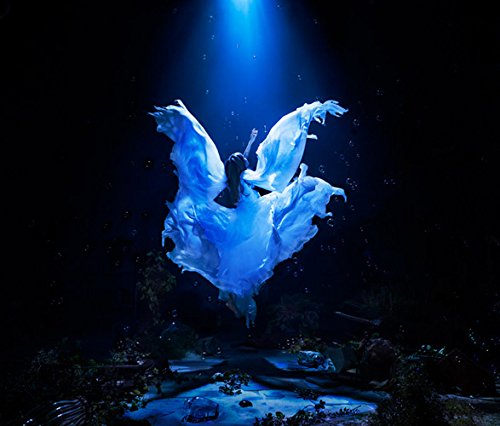 誰か、海を。EP Aimer