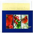 Seasonal Elements Holiday Cards -