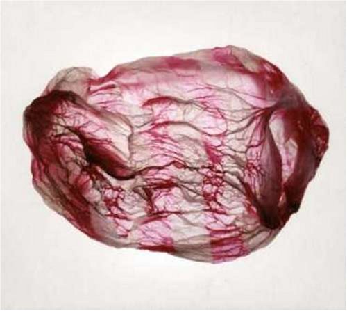 Susumu Yokota and Rothko - Distant Sounds of Summer