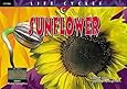 Sunflower (Life Cycles)