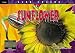 Sunflower (Life Cycles)