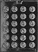 BITE SIZE ROSES Flowers, Fruits & Vegitables Candy Mold Chocolate