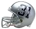 Riddell Cowboys/Roy Williams NFL Deluxe Replica Full Size Players Helmet