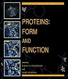 Proteins : form and function