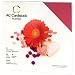 Valentine 12x12 AC Cardstock Pack (American Crafts)