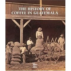 The History of Guatemalan Coffee