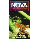 Nova: Little Creatures Who Run the World [VHS]