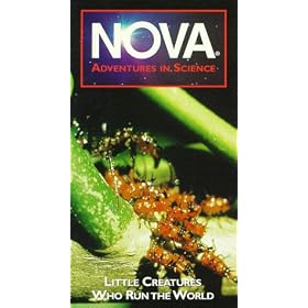 Nova: Little Creatures Who Run the World [VHS]