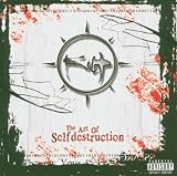 Art Of Selfdestructio