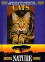 Nature: Cats (documentary)