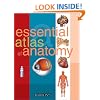 Essential Atlas of Anatomy