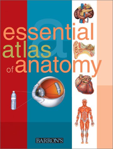 Essential Atlas of Anatomy (Essential Atlas Series)