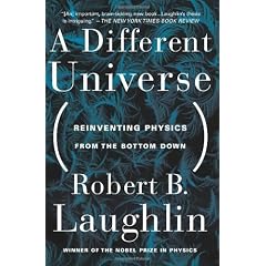 A Different Universe: Reinventing Physics From the Bottom Down
