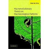 Macroevolutionary Theory on Macroecological Patterns