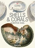 Shells & Corals. Muscheln & Korallen (Icons)
