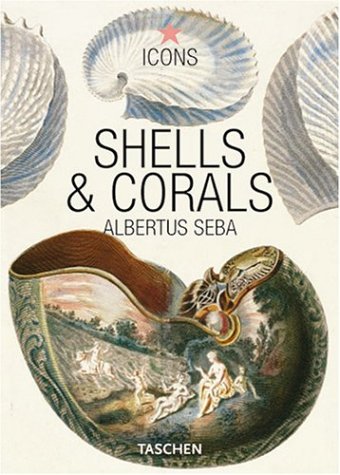 Shells & Corals (Icons)