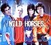 Wild Horses
