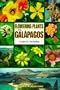 Flowering Plants of the Galapagos