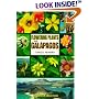 Flowering Plants of the Galapagos