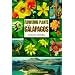Flowering Plants of the Galapagos (Comstock Book)