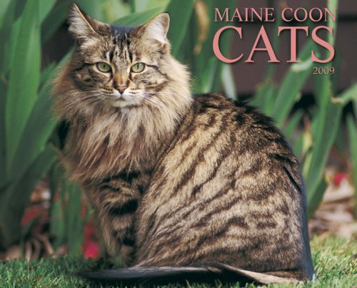 Maine