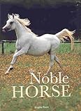 World of horses