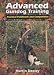 Advanced Gundog Training
