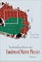 Introduction to Condensed Matter Physics: Volume 1