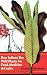 How Indians Use Wild Plants for Food, Medicine and Crafts