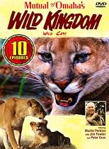 Mutual of Omaha's Wild Kingdom - Wild Cats