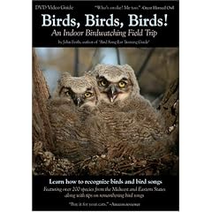 Birds, Birds, Birds! An Indoor Birdwatching Field Trip DVD Video Bird and Bird Song Guide by 