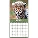 TF Publishing 2017 Baby Animals Wall Calendar (17-1000)