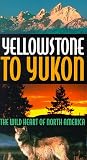 Yellowstone to Yukon