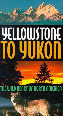 Cover image : (VHS) Yellowstone to Yukon [VHS] [Import]