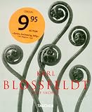 Produkt-Bild: Karl Blossfeldt: Photographs (Albums)