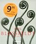 Karl Blossfeldt: Photographs (Albums)