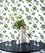 Graham and Brown Julien Macdonald Mysterious Wallpaper